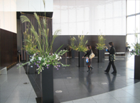 �Z�{�؃q���Y52�K�W�]���E���W �C�x���g �g���H�̖����h