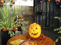 �Z�{�؃q���Y52�K�W�]���E���W �C�x���g �g�n���E�B���h